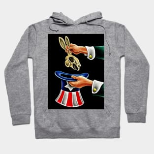 Economic Crisis in the US Hoodie